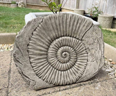Burgess Ammonite Fossil Stone Statue Outdoor Garden Ornament Decoration British Made Sculpture from B&Q
