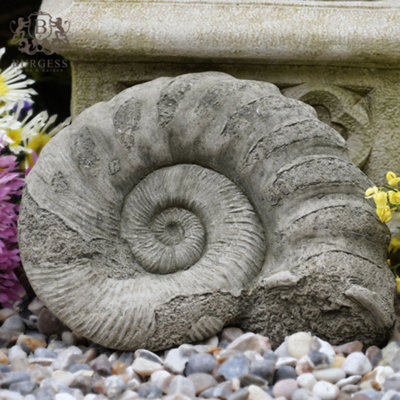 Burgess Ammonite Fossil Stone Statue Thick Outdoor Garden Ornament Decoration British Made Sculpture from B&Q