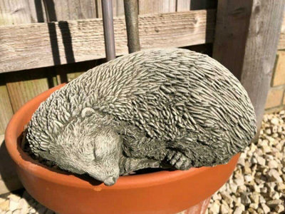 Burgess Sleeping Hedgehog Statue Reconstituted Stone Animal Concrete Garden Ornament from B&Q