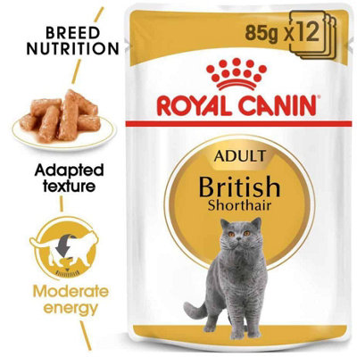 Royal Canin British Shorthair Adult Wet Cat Food In Gravy 12 X 85G from B&Q