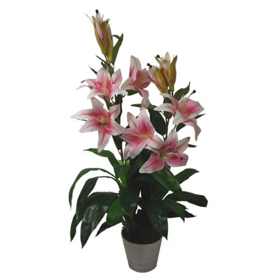 【Lily】 Women's Lightweight Calla Lily Shoes with Rear Zipper Access
