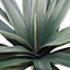 90cm (3ft) Artificial Yukka Plant - Large
