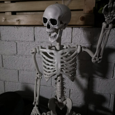 [Prextex]Prextex 19Posable Halloween Skeleton Full Body Halloween Skeleton with Movable /Posable Joints and 2 Sets of [並行輸入品] Prextex 30