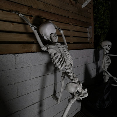 Amazon.com: PREXTEX Skeleton Halloween & Day of The Dead