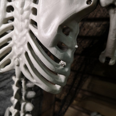 Amazon.com: PREXTEX Skeleton Halloween & Day of The Dead