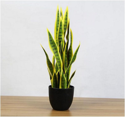 cute plant pots Turtle Planter