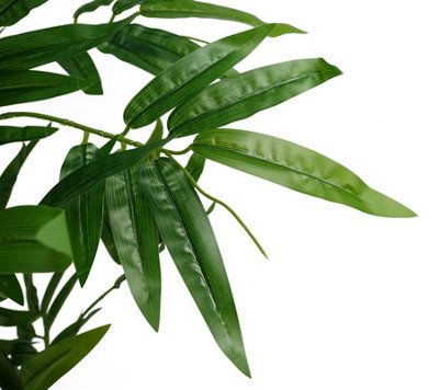 Large Bamboo Plants - Wholesale Indoor & Outdoor Decor