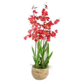 90cm Oncidium Orchid Red in Stoneware Planter