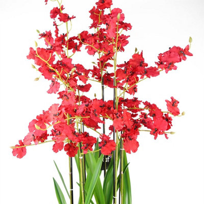 90cm Oncidium Orchid Red in Stoneware Planter