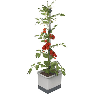 B&Q -  Tom Tomato Tomato Planter PotClimbing AidPlant ClipsSelf-Watering4.5L Water Tank20L SoilLight Grey