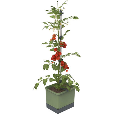 B&Q -  Tom Tomato Tomato Planter PotClimbing AidPlant ClipsSelf-Watering4.5L Water Tank20L SoilDark Green