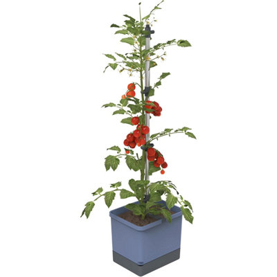 B&Q -  Tom Tomato Tomato Planter PotClimbing AidPlant ClipsSelf-Watering4.5L Water Tank20L SoilBlue