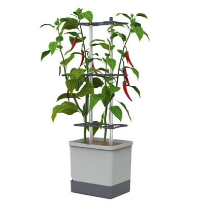 Brand Light/Grey Charly Chili Chili Pot With Water Tank & Climbing System - Regular
