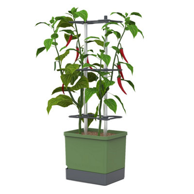 Brand Dark/Green Charly Chili Chili Pot With Water Tank & Climbing System - Regular