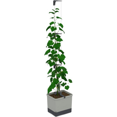 Gusta Garden Curt Cucumber PotSelf Watering Planter Pot With Trellis For Cucumbers20L Soil Capacity (Light Grey) from B&Q