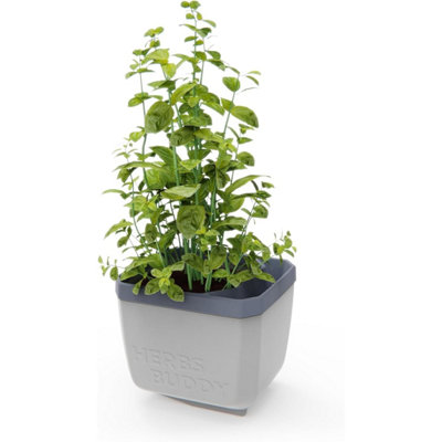 B&Q -  Herbs Buddy Self-Watering Planter Pot For HerbsSpecial Water Level Indicator (1 PackLight Grey)