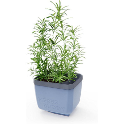 Gusta Garden Herbs Buddy Self-Watering Planter Pot For HerbsSpecial Water Level Indicator (1 PackBlue) from B&Q