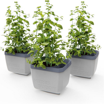 Gusta Garden Herbs Buddy Self-Watering Planter Pot For HerbsSpecial Water Level Indicator (3 PackLight Grey) from B&Q