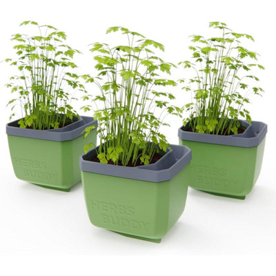 Gusta Garden Herbs Buddy Self-Watering Planter Pot For HerbsSpecial Water Level Indicator (3 PackDark Green) from B&Q