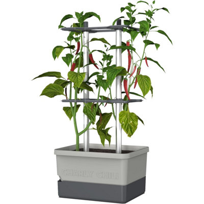 Brand Light/Grey Charly Chili Chili Pot With Water Tank & Climbing System - Xl