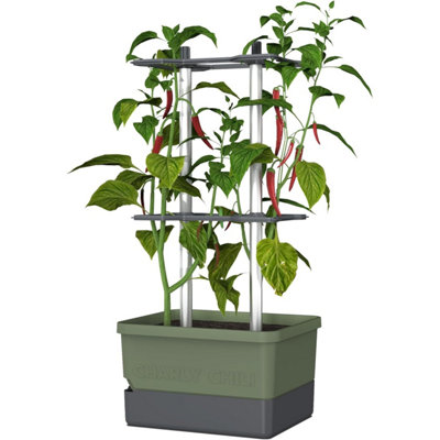 Brand Dark/Green Charly Chili Chili Pot With Water Tank & Climbing System - Xl