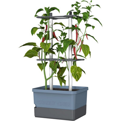 Brand Blue Charly Chili Chili Pot With Water Tank & Climbing System - Xl