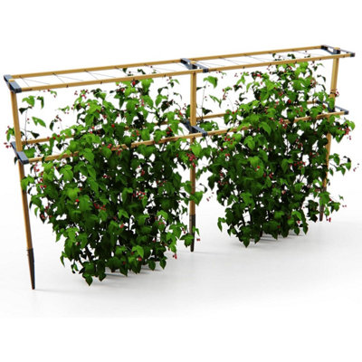 Gusta Garden Berry Buddy Climbing Solution For Berries - 240Cm