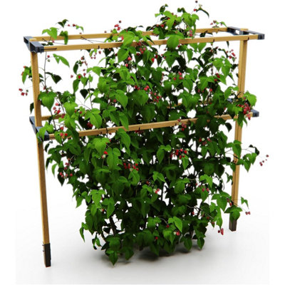 Gusta Garden Berry Buddy Climbing Solution For Berries - 360Cm