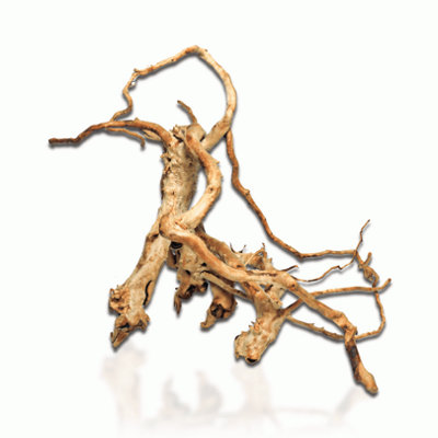 B&Q -  Natural Wood Azalea Root 2030Cm
