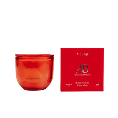 Fragranced Mt. Fuji 400G Candle from B&Q