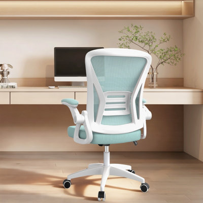 Onemill Ergonomic Office Desk Chair With Flip-Up Armrest Lumbar Support,padded Seat Cushion For Home And Office