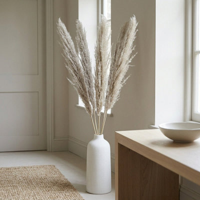 Garden Greatness Natural Dried Pampas Grass Stems from B&Q