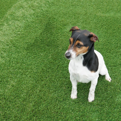 Shamrock 40mm Outdoor Artificial Grass,premium Outdoor Artificial Grass,petfriendly Artificial Grass-16M(52'5") X 4M(13'1")-64M² from B&Q