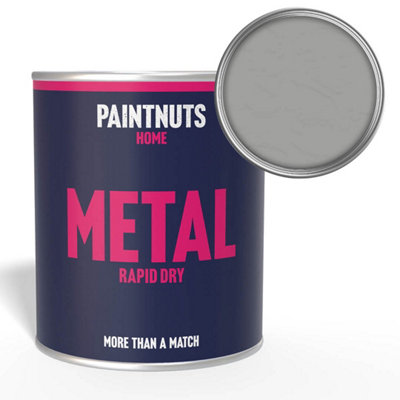 Paintnuts Rapid Dry Metal PaintSilver Metalic (Ral-9006)Gloss Finish500Ml from B&Q