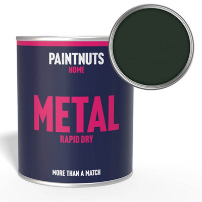 Paintnuts Rapid Dry Metal PaintDark Green (Ral-6009)Gloss Finish500Ml from B&Q