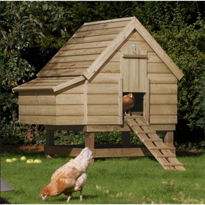 Cheshire Spacious Chicken Coop from B&Q