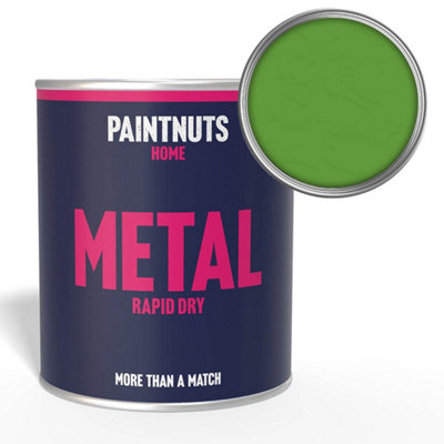 Paintnuts Rapid Dry Metal PaintLight Green (Ral-6018)Gloss Finish1 Litre from B&Q
