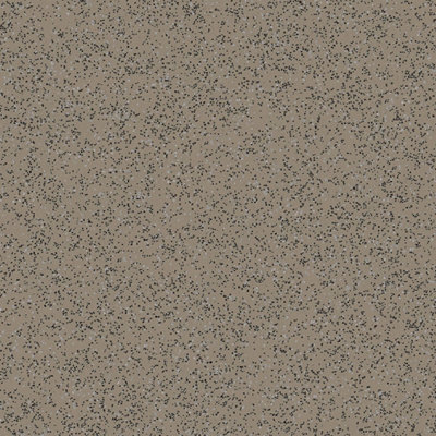 Polyflor Polysafe Standard Pur Taupe 4610 Brown Speckled Effect Anti-Slip Commercial  Flooring Sheet-8M(26'3") X 2M(6'6")-16M² from B&Q