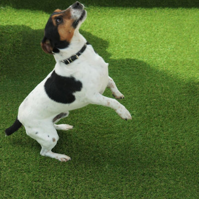 Aurelie 30mm Outdoor Artificial GrassPet-Friendly Artificial GrassPlush Fake Grass-2M(6'6") X 2M(6'6")-4M² from B&Q