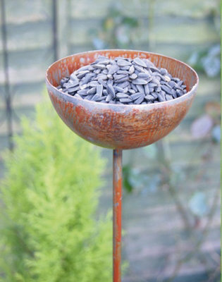 Poppy Forge Bowl Plant Pin 4Ft (Bare Metal/natural Rust) (Pack Of 3)SteelH120 Cm from B&Q