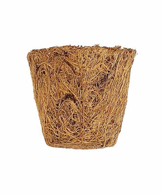 B&Q -  Coir PotsPack Of 20Fibre/latexH5 Cm
