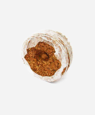 B&Q -  CoircoinsPack Of 50Coco Peat MixL25 X W25 Cm