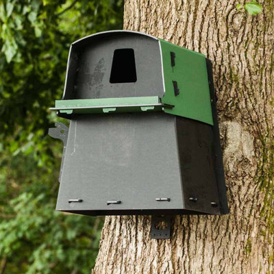 Buttercup Farm Eco Barn Owl Nest BoxPolyethylene/plasticL65 X W66 X H67 Cm from B&Q