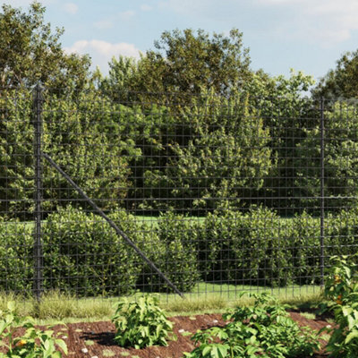 Berkfield Wire Mesh Fence With Spike Anchors Anthracite 1.4X25 M from B&Q