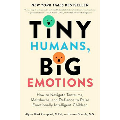 Tiny Humans, Big Emotions: How to Navigate Tantrums, Meltdowns, and Defiance to - Image 27