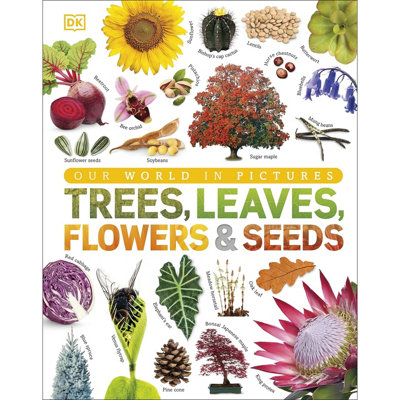 Our World in Pictures: Trees, Leaves, Flowers & Seeds by DK 9780241339923 NEW - Image 13