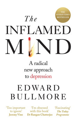 Short Books The Inflamed Mind: A New Approach To Depression