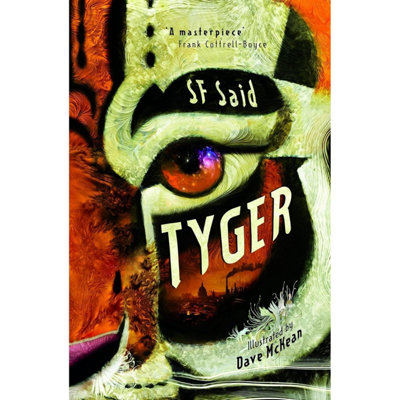 David Fickling Books Tyger: British Book Awards Childrens Fiction Book Of The Year 2023 By Sf Said - Image 18