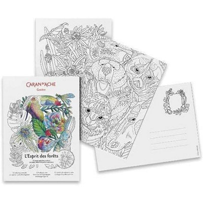 Carand'Ache Caran D'ache L'esprit Des Forêts Colouring Postcards12 Forest Illustrations400Gsm Superior Drawing Paper from B&Q