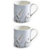 Found it product image.